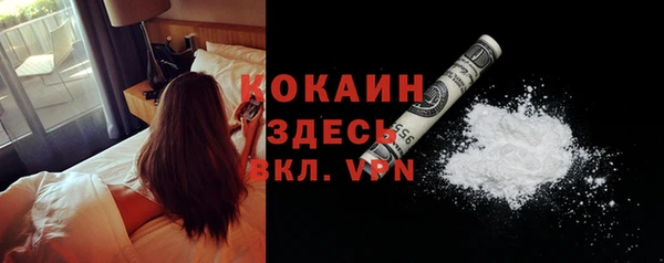 стафф Ростов