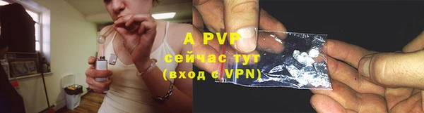 прущие грибы Рославль