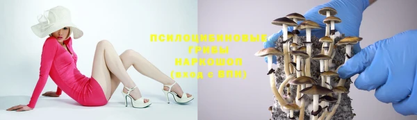 стафф Ростов