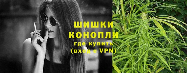 прущие грибы Рославль