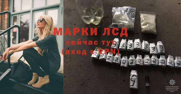 стафф Ростов