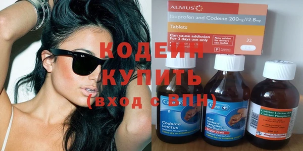 прущие грибы Рославль