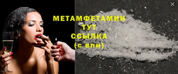 прущие грибы Рославль