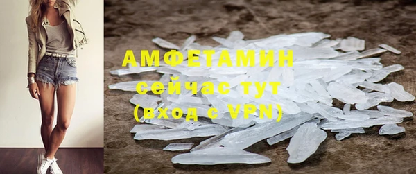 прущие грибы Рославль