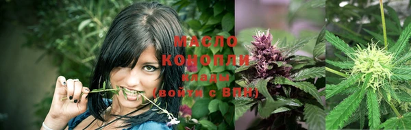 прущие грибы Рославль