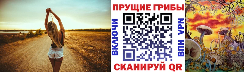 наркотики  Холмск  Псилоцибиновые грибы Psilocybine cubensis 