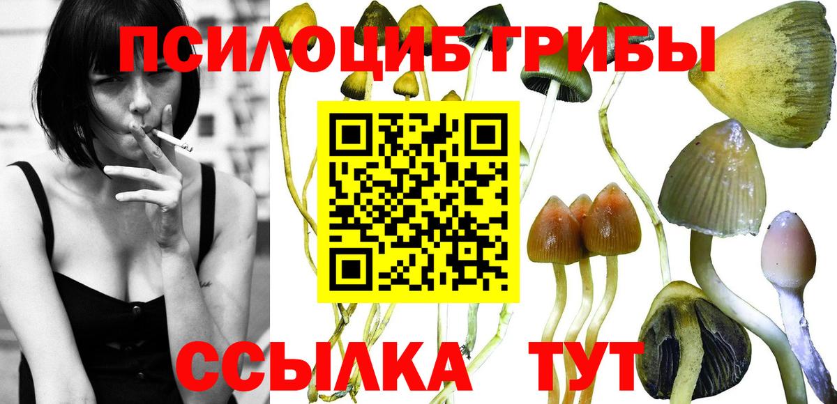 Псилоцибиновые грибы GOLDEN TEACHER  Вход с VPN  Галлюциногенные грибы ЛСД  Холмск 