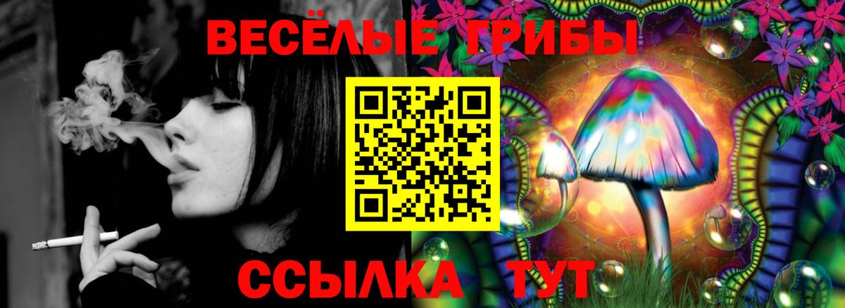 Псилоцибиновые грибы Cubensis Холмск